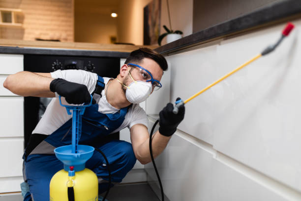 Best Best Pest Control Companies  in Spartanburg, SC