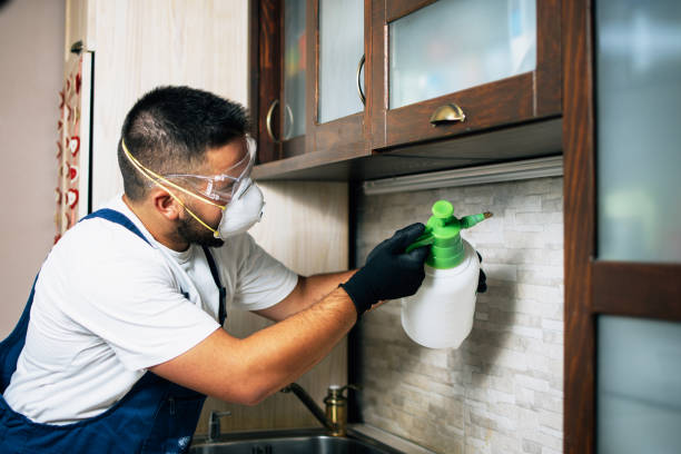 Best Pest Control Near Me  in Spartanburg, SC