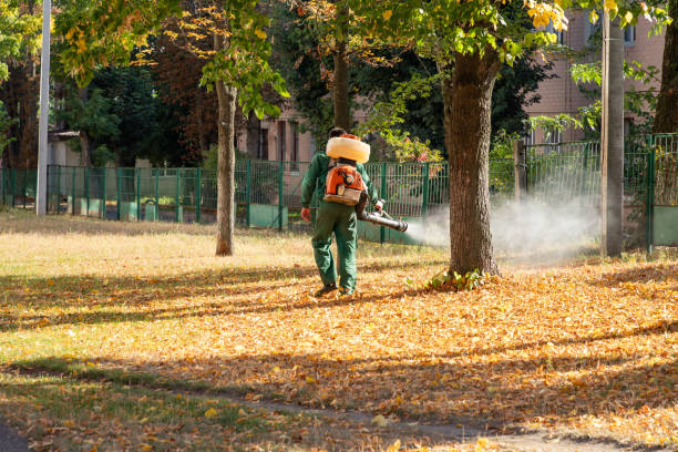 Best Pest Removal Services  in Spartanburg, SC