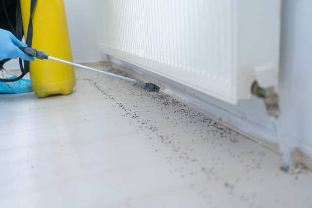 Professional Pest Control in Spartanburg, SC